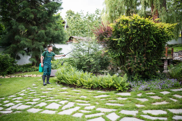 Best Affordable Pest Control Services  in Aurora, TX