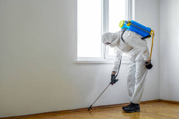 Best Pest Prevention Services  in Aurora, TX