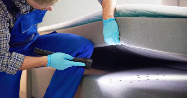 Best Pest Inspection Near Me  in Aurora, TX