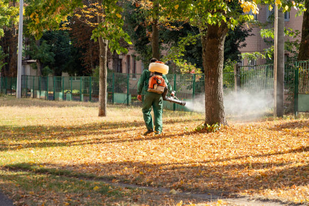 Best Commercial Pest Control Services  in Aurora, TX
