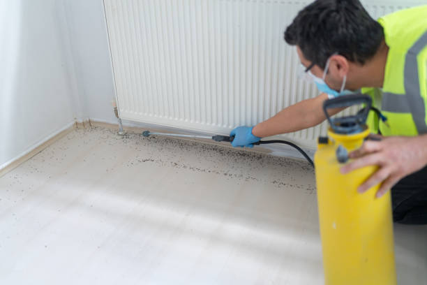 Trusted Aurora, TX Pest Control Experts